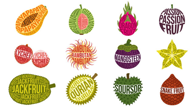 Tropical fruit typography set with papaya, guava, dragon fruit, passion fruit, rambutan, mangosteen, starfruit, jackfruit and soursop on white background