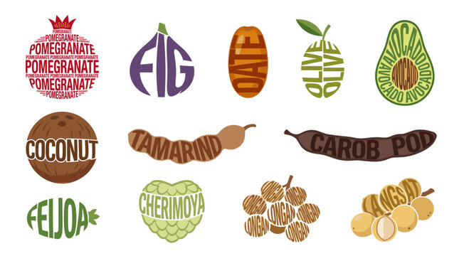 Tropical fruit typography set with fig, coconut, tamarind, pomegranate, avocado, carob pod and feijoa illustrations on white background