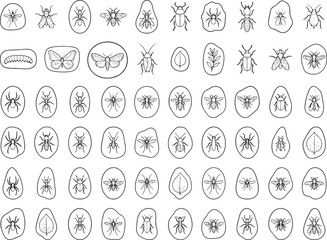 Obraz premium A collection of black and white line art icons depicting various insects and insect-related elements, presented in a grid layout for a clean, graphic presentation.
