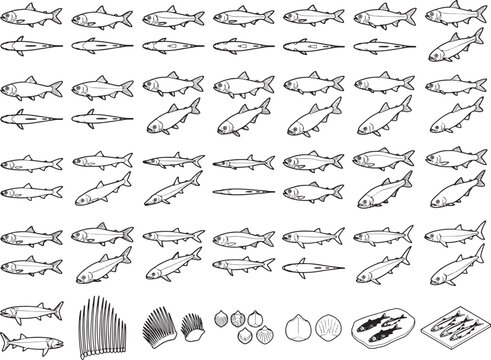 A collection of stylized illustrations showcasing various types of fish, along with supplementary icons such as fish scales, pearls, and a dish of cooked fish, presented in a clean, graphic style.