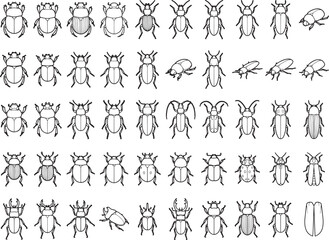 Obraz premium A collection of various insect illustrations, presented in a clean, minimalist line art style, showcasing a diverse range of beetle species and other small arthropods.