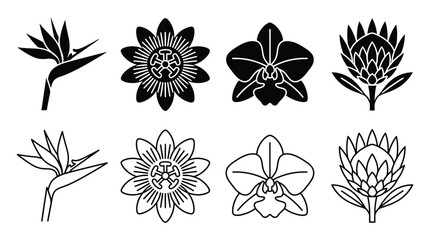 Fototapeta premium Set of tropical flowers icons, bird of paradise, passion flower, orchid and protea, vector illustration, flat design, black and white line art and silhouette style