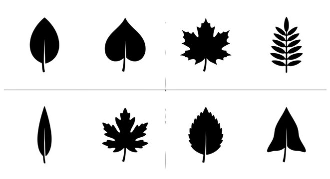 Collection of Eight Black Silhouette Leaf Icons, Vector Set of Botanical Shapes for Nature and Autumn Designs, Simple Organic Forms