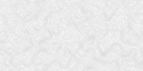Abstract Cartographic Relief Design Featuring Detailed Land Contours and Layered White Surface Texture Smooth Curves and Organic Forms Representing Mountains, Valleys, and Elevation Maps © ALAMA