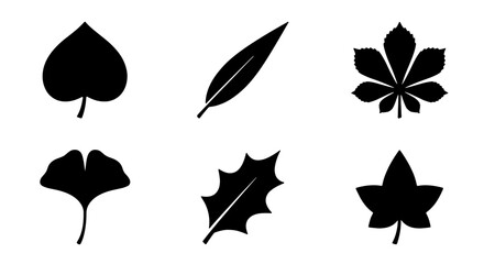 Diverse Leaf Silhouettes Collection, Botanical Vector Icons, Nature Elements Set, Organic Shapes for Design © Anwar