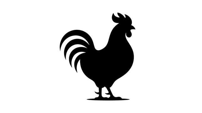 Black silhouette of a rooster standing.