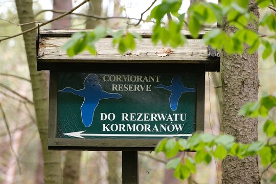Information board of cormorant reserve in Katy Rybackie on the Vistula Spit, Poland