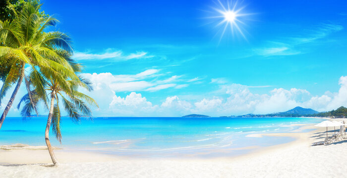 Sea beach landscape, paradise tropical island, green coconut palm tree leaves, white sand, turquoise ocean water, blue sunny sky, beautiful exotic nature, hot day on summer holidays, vacation, travel