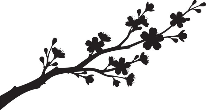 Black cherry blossom branch, floral silhouette, vector flowers
