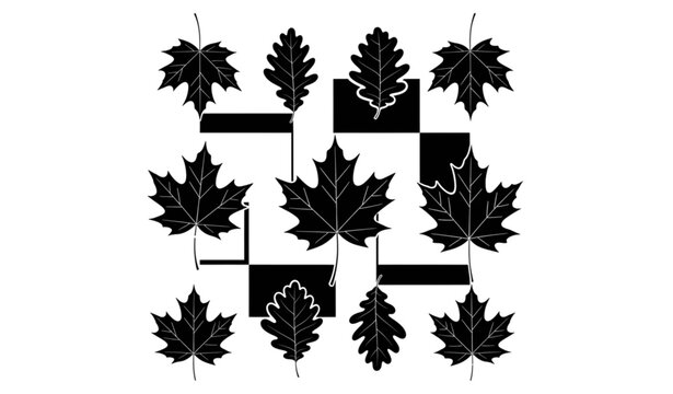 Modern black maple and oak leaf silhouette vector design collection