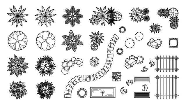 Decorative Garden Tree and Pathway Elements for Landscape Architecture Master Plans