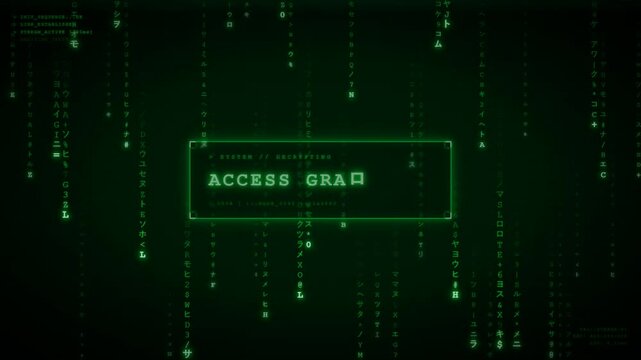 Hacker terminal system decryption access granted screen