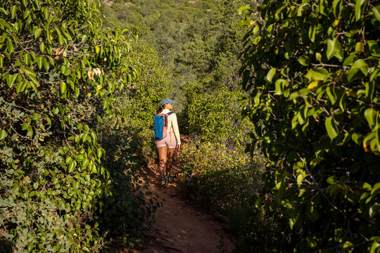 Lone woman walking away through high desert trail shrouded in brush