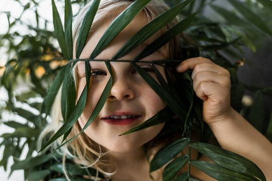 Toddler girl hiding behind tropical plant leaves indoors