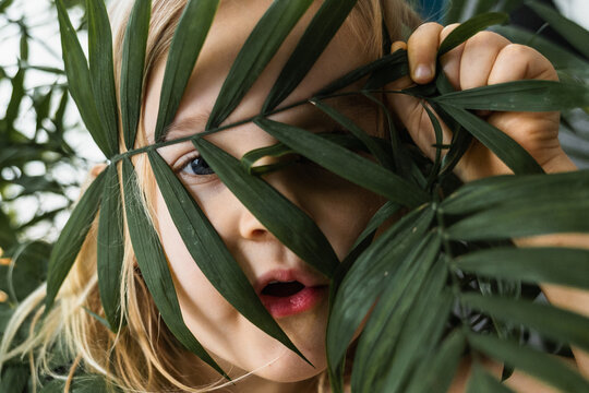 Toddler girl hiding behind tropical plant leaves indoors