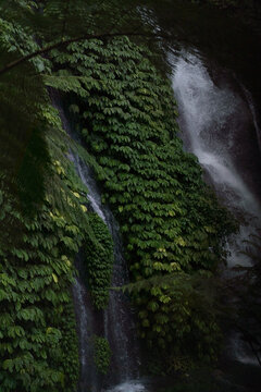 Mossy waterfall cascading through jungle, Banyumala, North Bali