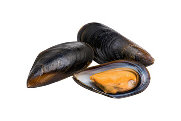 Fresh black mussels isolated on white background with open shell showcasing premium seafood delicacy and natural ocean ingredients © MJ iceberg
