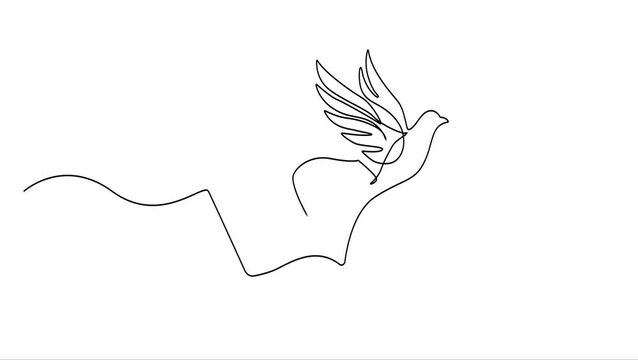 Animated self drawing of continuous line drawing Minimalist book  dove flying, hand drawn line art, freedom symbol, white background