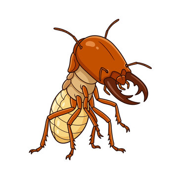 Termite soldier insect illustration isolated on white background