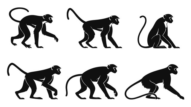 Vector illustration of various monkey silhouettes in different active and sitting poses on white background