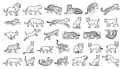 Wild cat line art collection, 30 hand drawn feline icons, black and white big cat vector set, predatory animal illustrations for nature branding © Sidra