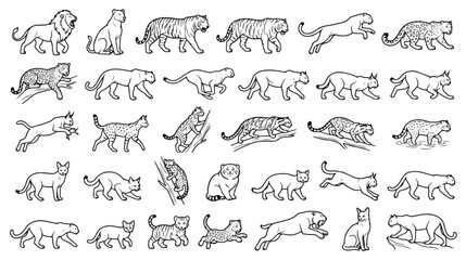Wild cat line art collection, 30 feline predator icons including lion tiger and leopard, black and white animal vector set for nature educational design © Sidra