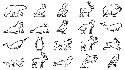 Arctic animals icon set, minimalist black line vector illustrations of polar wildlife, 20 cold climate fauna elements for educational design © Sidra
