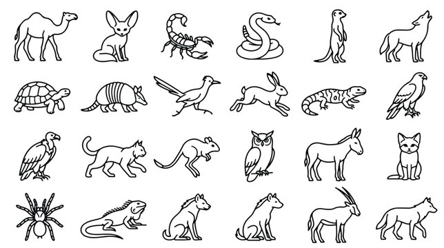 Desert animals line art icons, 24 wild desert wildlife vector illustrations, minimalist black outline animal set for educational infographics