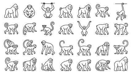 Minimalist monkey line icons set, 28 primate vector illustrations, black outline wild animal silhouettes, gorilla and chimpanzee zoo graphics © Sidra
