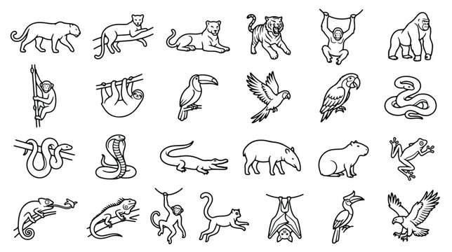 Jungle animals line icon set, 24 tropical wildlife vector illustrations, exotic rainforest fauna outline symbols for educational zoo branding