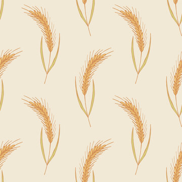 Seamless pattern with hand drawn cereal wheat oat rye barley rice ears spikelet Organic healthy food For decorative print, fabric, package, background