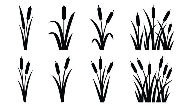 Set of cattail silhouettes with bulrush reed plants marsh grass tufts black vector illustrations isolated on a white background