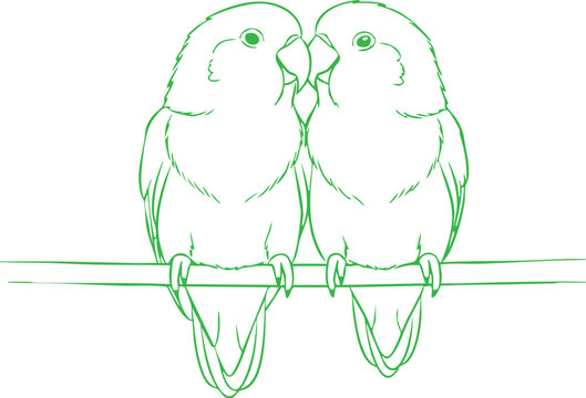 line drawing of two lovebirds perched on a branch green monochrome