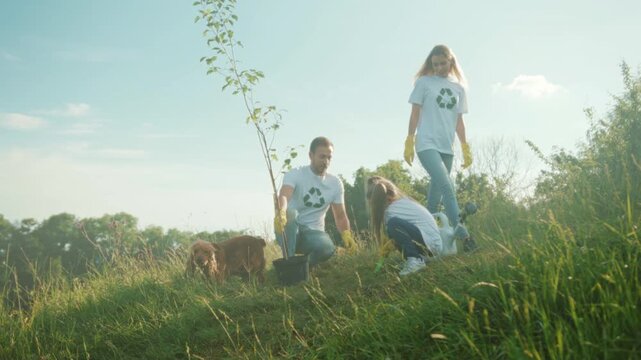 People planting saplings in sunny meadow scene, Team effort to reforest under warm sunlight and gentle breeze