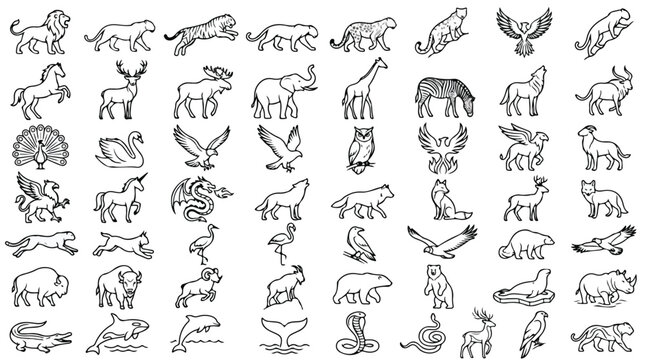 Minimalist animal line icons set, 56 wild wildlife and mythical creature vector symbols, black outline zoo and safari fauna illustrations