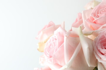 Fototapeta premium Close-up of a bouquet of pink roses 