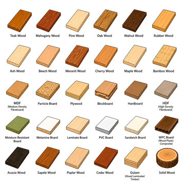 Wood Types Vector Set Timber Board Material Furniture Texture Chart