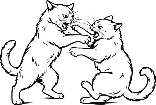 Two cats fighting and hissing at each other aggressively