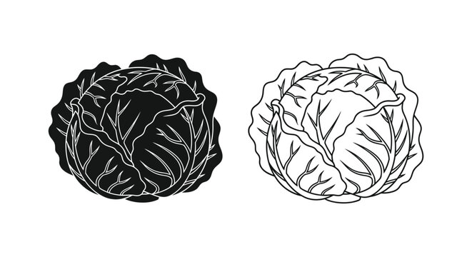 Cabbage heads illustration in black and white line art silhouette