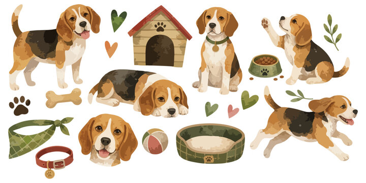 watercolor cute beagle dog collection
