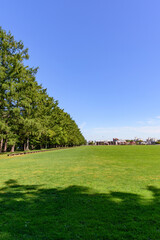 Fototapeta premium 帯広 緑ヶ丘公園400mベンチ 