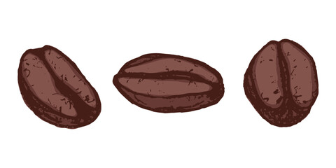 Fototapeta premium Set of hand drawn fresh roasted coffee bean Arabica robusta seed doodle Single element for design print packaging label decor