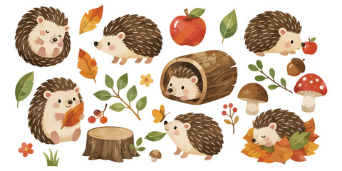 watercolor cute autumn hedgehog forest collection © dian's