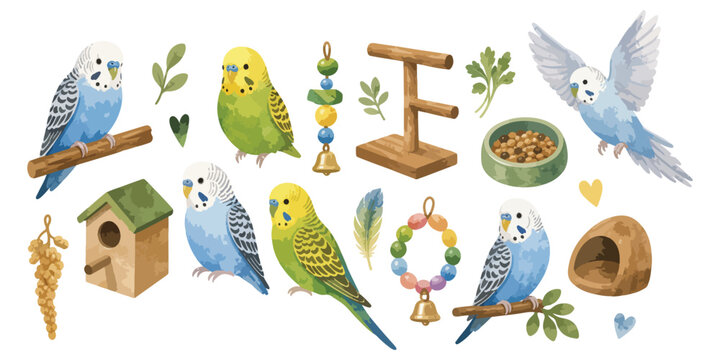 watercolor cute budgie parakeet pet collection