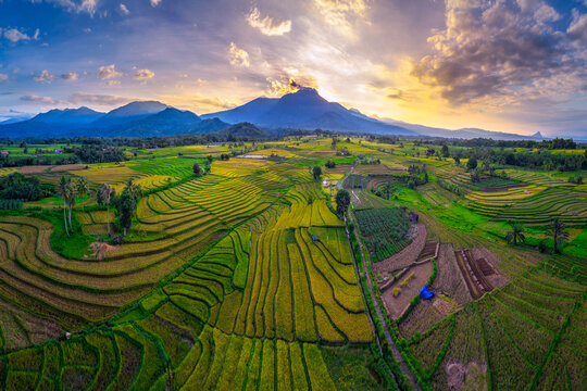 sunrise panorama with rice fields and Indonesian mountains