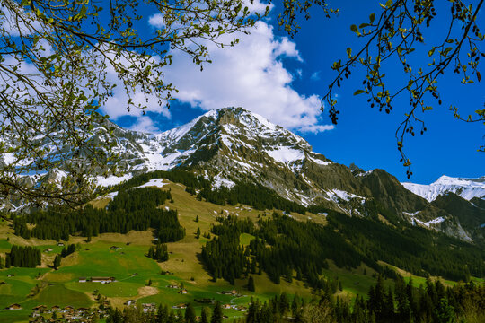 Beautiful alps nature in Switzerland