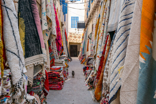 Cat walks down a narrow alley of Moroccan rugs in Essaouira