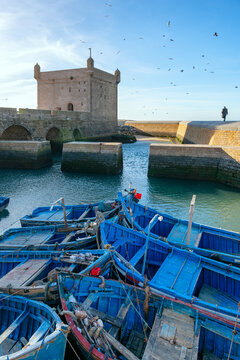 Blue fishing boats in the harbor of Essaouira Morocco