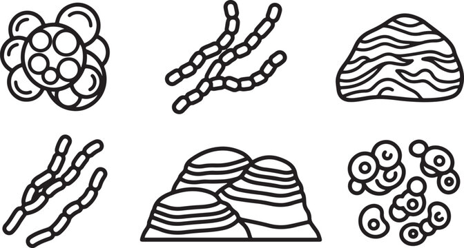 Set of black and white line art icons depicting various types of bacteria and microorganisms for scientific research and education