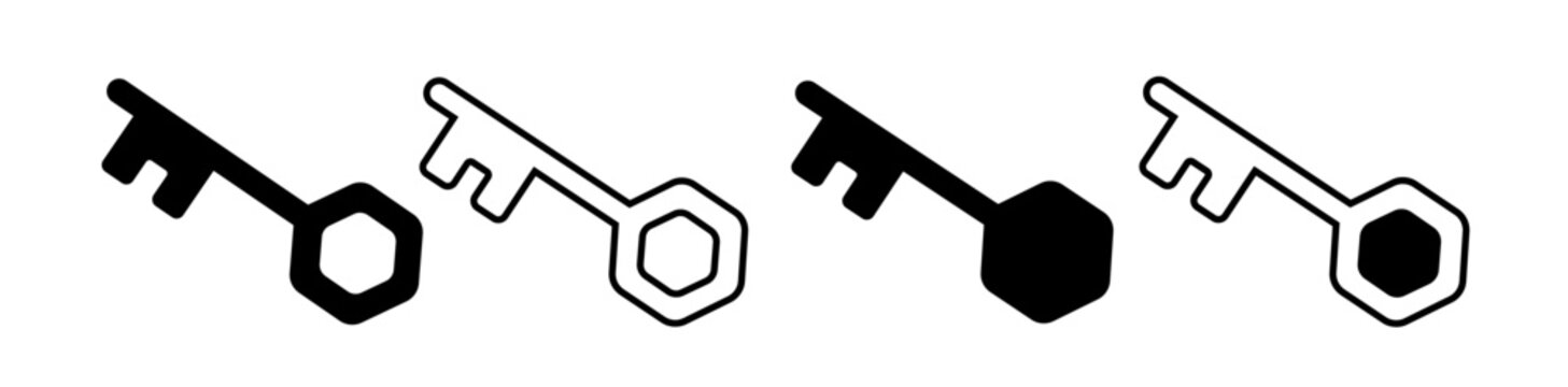 Modern Key Icon Set Black and Outline Minimal Vector Illustration